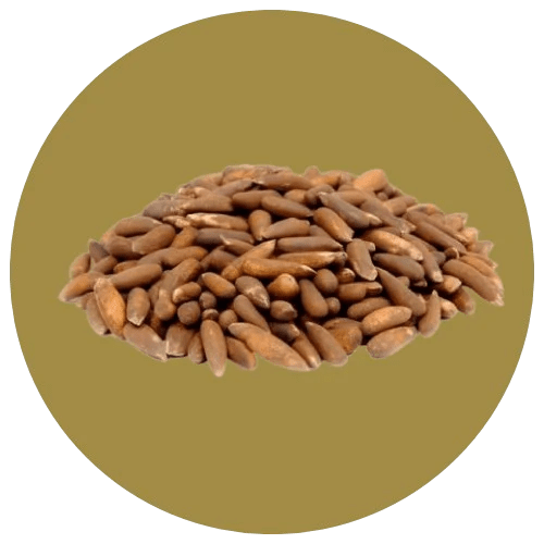 Nuts - Agha dry fruits
